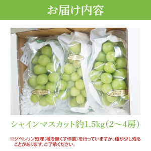 【2026年9月より順次発送】シャインマスカット 約1.5kg【茨城県共通返礼品/石岡市】（IU-8-1）