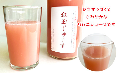 りんごじゅーす 720ml 紅玉 3本 セット 【うわのリンゴ園】 