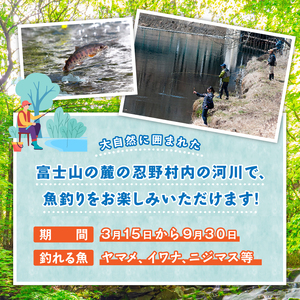 漁業券大人（高校生以上）(年間券）と漁業券中学生、女性、70歳以上券（年間券）の2枚セット
