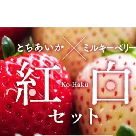 紅白いちご(とちあいか、ミルキーベリー)大粒 詰め合わせ(300g×1パックずつ)_果物・フルーツ いちご  イチゴ 苺_【配送不可地域：離島】【1484008】
