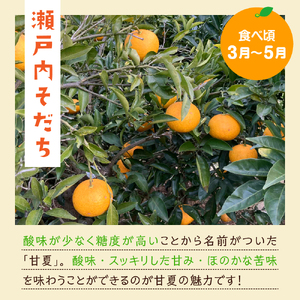 【先行受付】【2027年2月中旬～発送】栽培期間中無農薬 甘夏みかん 5kg　ミカン 蜜柑 あまなつ 果物 くだもの フルーツ 柑橘 送料無料 産地直送 お取り寄せ 広島県 呉市 ku044-009-26