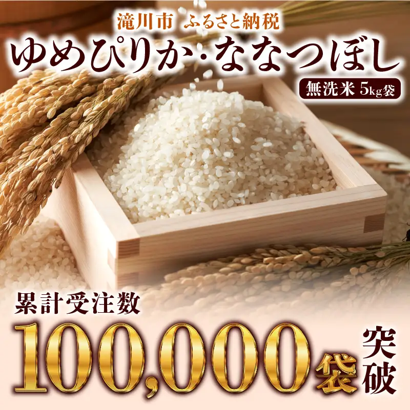 特A 北海道滝川産 ななつぼし 無洗米 10kg【R8年産】お米マイスター 新米 単一米 産地限定米 ブランド米 北海道米 北海道産 白米 精米 米 こめ コメ お米 ご飯 おにぎり 道産 送料無料 むせんまい 限定 贈答 お試し