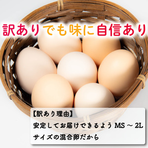 定期便 卵 30個 ( たまご 25個 + 割れ補償 5個 ) 6回 6ヶ月 定期便 国産 鶏 さくら 簡易包装 コクのある 濃い 風味 とれたて 生たまご 滋賀 地産地消 の 飼料米 玉子 産みたて 国産 新鮮 卵かけご飯 大容量 生 卵 鶏 天然 すき焼き 目玉 焼き 滋賀県 竜王町 玉子 鶏卵 生卵 産地直送                                                            