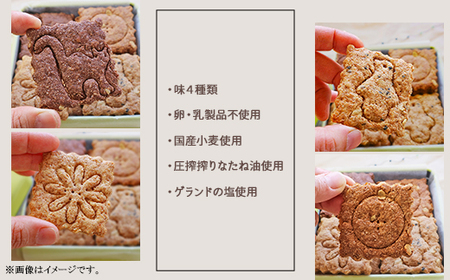 花咲くしおビスケット缶　～ザクザク食感が後ひく植物性素材のビスケット缶～