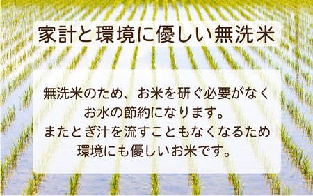 [051-a004] 無洗米  いちほまれ  5kg 