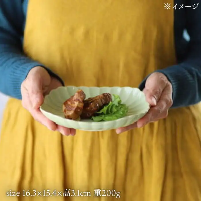 【波佐見焼】四つ菊 中皿 4色セット part1【永泉】[MC81]