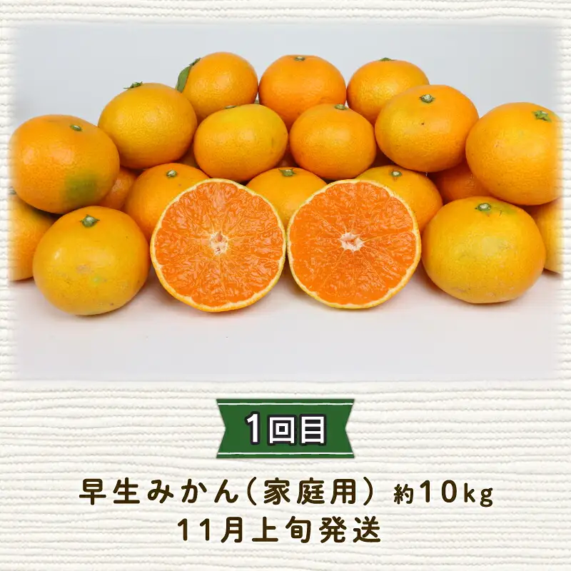 みかん定期便 全3回 陽だまりミカン 家庭用 みかん定期便 B045-050005