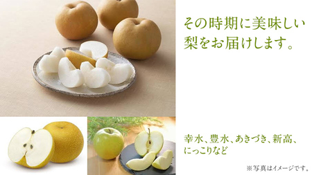 梨 3品種 各7個ずつ【2026年8月より発送開始】（茨城県共通返礼品 [梨]：大子町産）