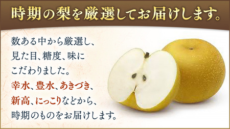 【化粧箱入り】梨 5kg（10〜14個）【2026年8月より発送開始】（茨城県共通返礼品 [梨]：大子町産）