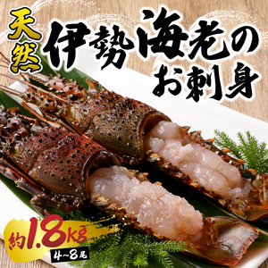 伊勢海老 お造りセットC 約1.8kg（お刺身用に加工済） (b100-073)