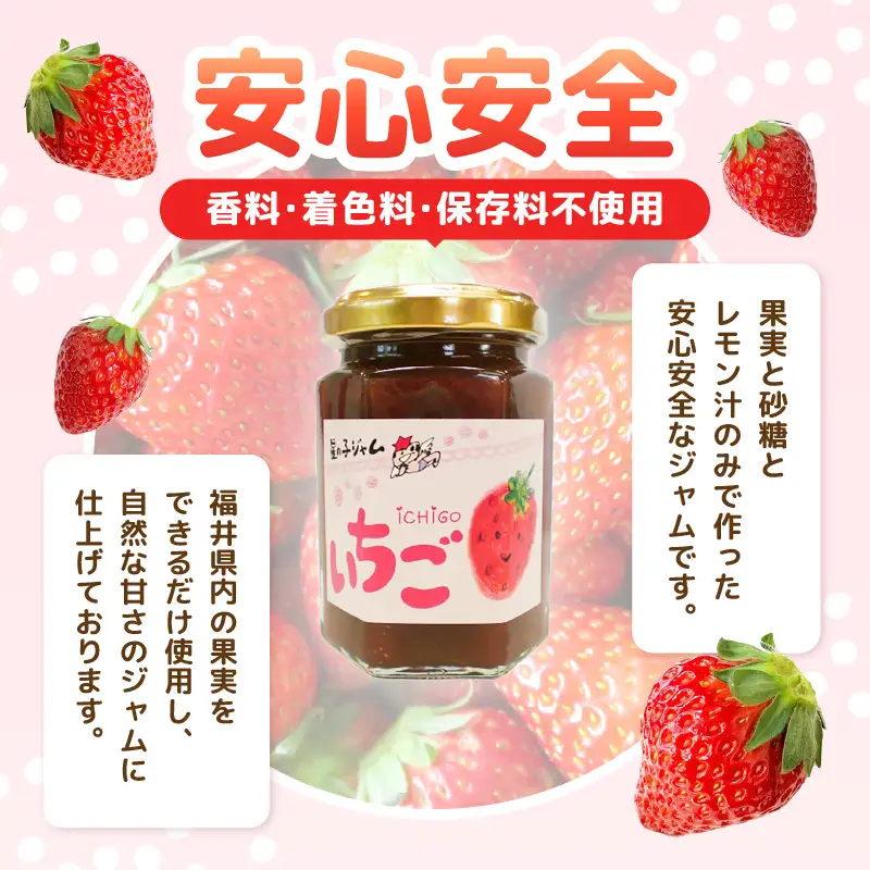 【福井県産】フルーツを使った ジャム 4種 計12個セット （ブルーベリージャム2個 いちじくジャム2個 梅ジャム4個 苺ジャム4個） [m03-b014]