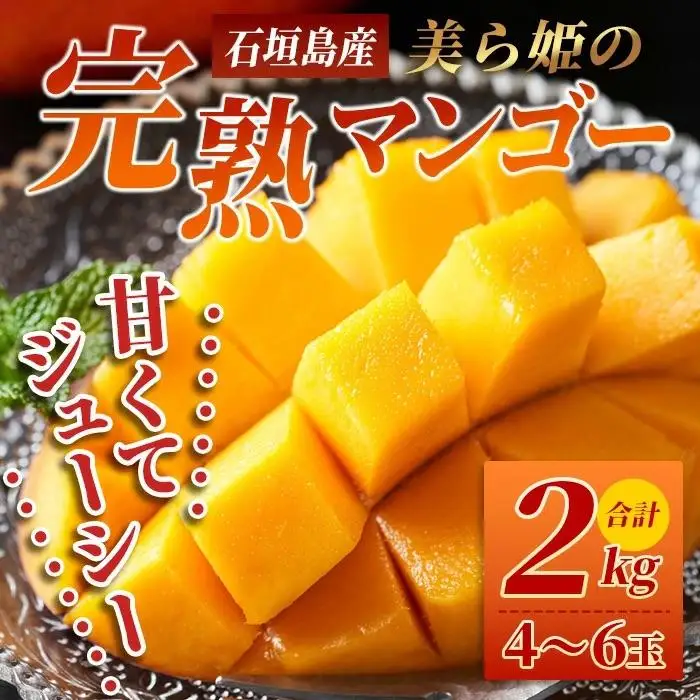 ［予約受付］美ら姫マンゴー2kg（完熟・アーウィン種）CB-2