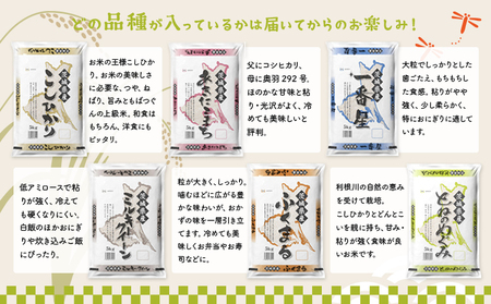 K2480【定期便/3か月連続お届け】＜2024年6月上旬初回発送＞  お米 5kg 茨城県産 定期便
