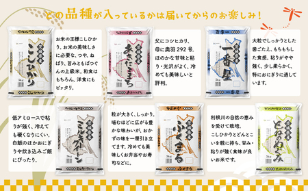 K2482【定期便/3か月連続お届け】＜2024年06月上旬初回発送＞  お米 2種 食べくらべ 10kg 茨城県産