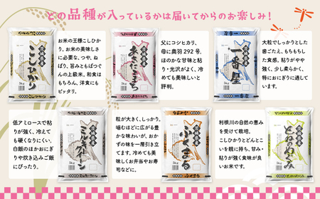 K2481【定期便/6か月連続お届け】＜2024年06月上旬初回発送＞  お米 5kg 茨城県産 定期便