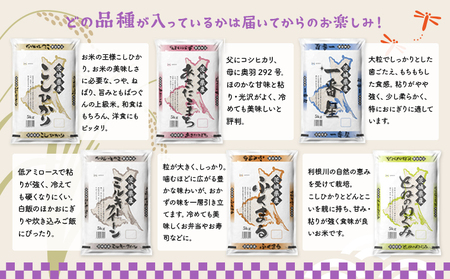 K2483【定期便/6か月連続お届け】＜2024年06月上旬初回発送＞  お米 2種 食べくらべ 10kg 茨城県産