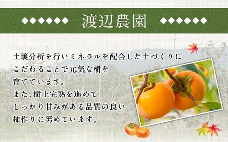【先行予約】渡辺農園 富有柿 6玉前後 2026年11月下旬から12月上旬 出荷予定
