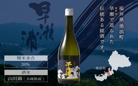 【お中元】 早瀬浦 大吟醸 山田錦 720ml × 1本 【入手困難 日本酒】[m06-b008]