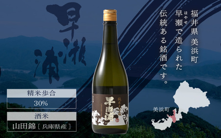 【お中元】 早瀬浦 純米大吟醸 山田錦 720ml × 1本 【入手困難 日本酒】[m06-c004]