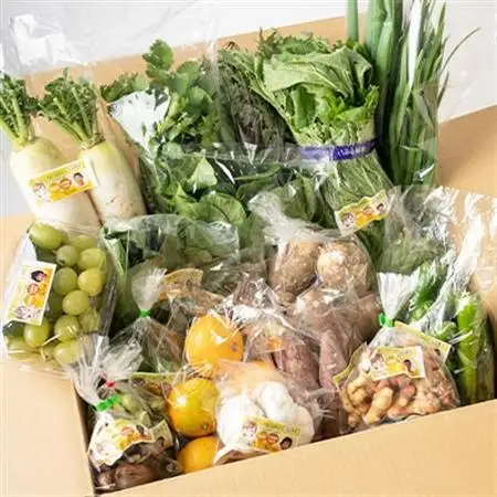 【毎月定期便】【栽培期間中化学肥料・農薬不使用】季節の新鮮野菜の詰め合わせ 全3回【配送不可地域：離島】【4011402】