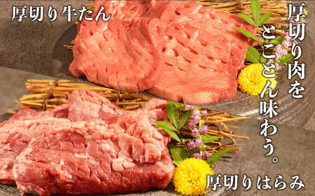 オアシス九州  厚切り 牛タン ハラミ  焼き肉 セット  (軟化加工) 700g 冷凍 _U117-0047