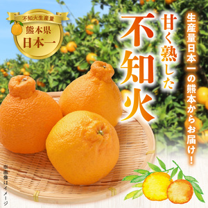 54-14　福島オレンジ農園 【家庭用】おいしい樹成甘熟!!不知火　約3kg_U54-0014