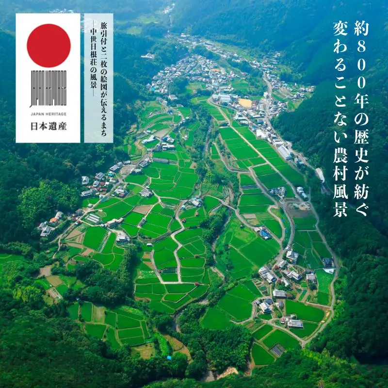 【令和8年産】葛城山脈の清流の希少ブランド米「龍神大木の里」精米済み4.5kg（約30合分） きぬひかり