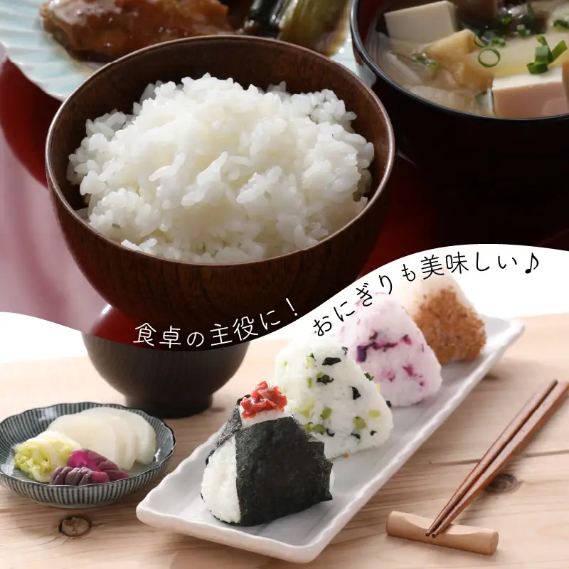 【先行予約】「なごみ米」令和8年産 コシヒカリ 20kg & ペア数珠袋 & 手製マスク & 巾着 & お手玉【2026年9月上旬以降順次発送】 [m12-g001]