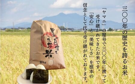 【令和8年産】限定30個「300年のお米」茨城県産コシヒカリ10kg 玄米 ※2026年10月～発送 | 栄養 お米 こしひかり こめ ご飯 おむすび おにぎり 茨城 常総