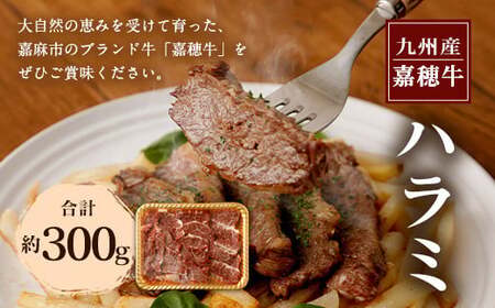 嘉穂牛 ハラミ 約300g 数量限定 ブランド牛 牛肉