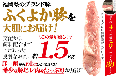 豚肉 ヒレブロック 約1.5kg 豚肉