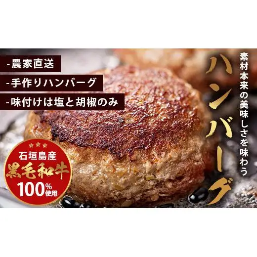 ＜先行予約＞石垣島黒毛和牛１００％ハンバーグ 100g×10個  BO-1