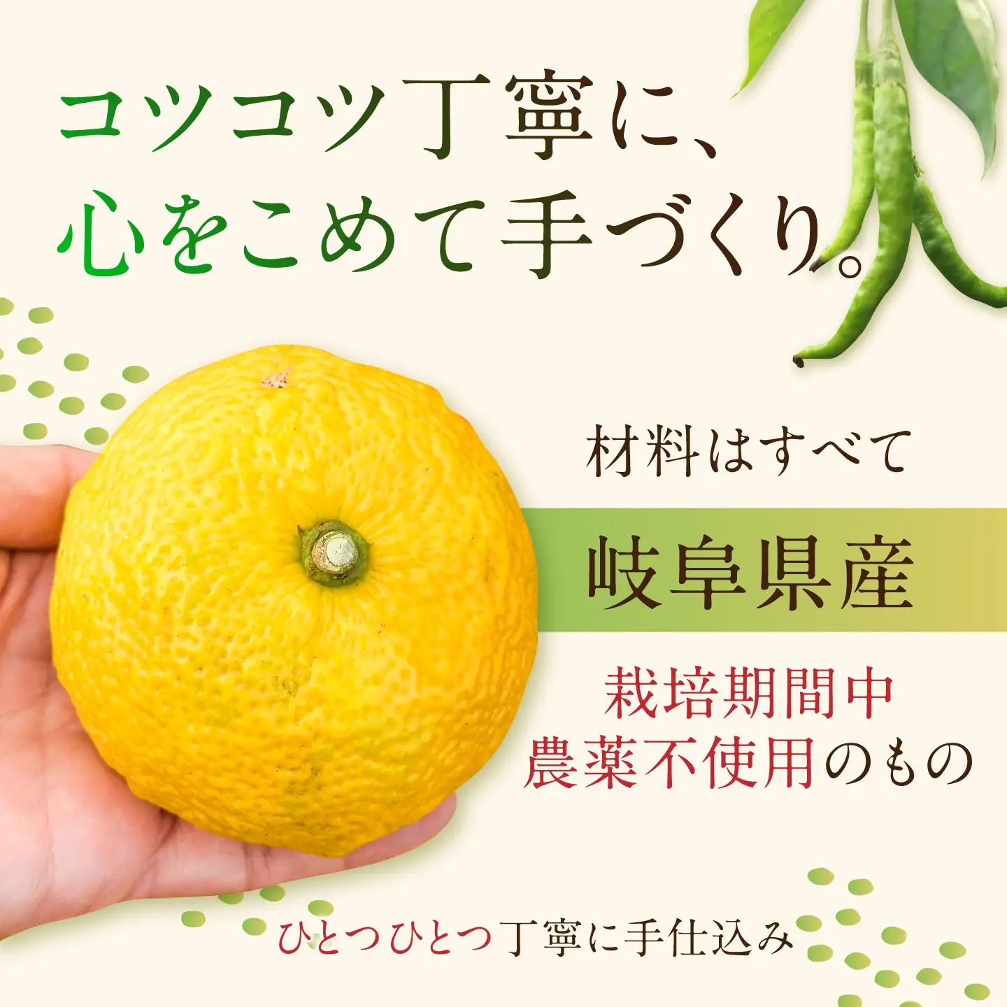 柚子胡椒「御嵩柚子なんばん」・醤油麹「ゆずなんばんじゃない醤」　みたけさいとう創店オリジナル辛味調味料セット(2種類　柚子胡椒1個、醤油麹2個) [AVAZ001]