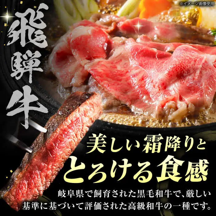 【A5】特選サーロインステーキ・ロースすき焼き用セット 計1kg [AVAG003]飛騨牛牛肉