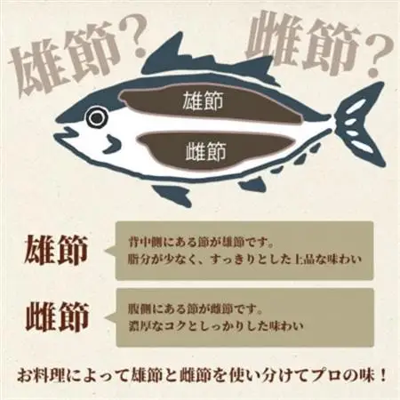 〈枕崎産〉近海物本枯節〈縁起物〉2本セット〈雄節・雌節〉合計約600g〈段ボール包装〉 A5-43_調味料 だし  ダシ  魚介・海産物   _【配送不可地域：離島】【1487222】