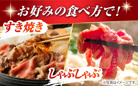 くまもとあか牛 こま切れ 計600g（300g×2）【有限会社スイートサプライなかぞの】[ZBV051]