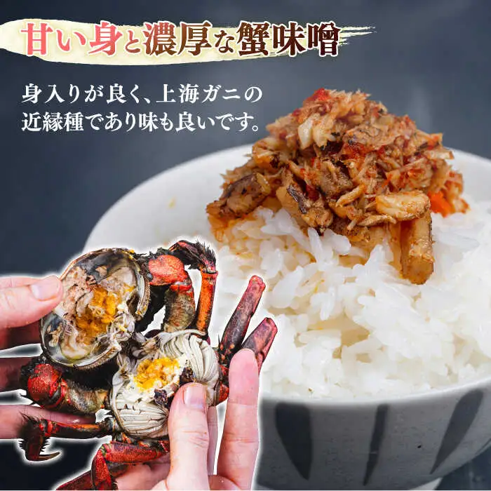 【先行予約】【2026年11月下旬以降順次発送】新鮮 活モクズガニ 1kg (5-12杯前後) オス メス セット 蟹 カニ カニ味噌 [ABCB005] 