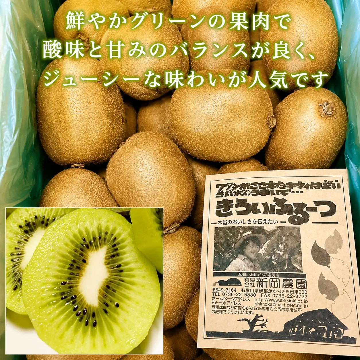 紀州かつらぎ山のキウイフルーツ約３ｋｇ ※2027年1月下旬～2月上旬頃に順次発送予定(お届け日指定不可)【uot792】