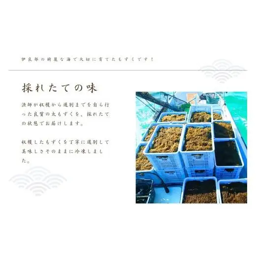 ≪いらぶ島産　養殖生もずく≫いらぶ島産もずく冷凍300ｇ×10個（FU006） 沖縄 宮古島 ふるさと納税 おすすめ 人気 もずく モズク 海藻 ミネラル 海 食