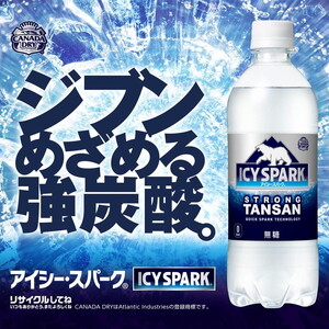 【9ヶ月定期便】【強炭酸】 カナダドライ(CANADA DRY) コカ・コーラ アイシー・スパーク 500ml×24本 | コカコーラ 炭酸水 強炭酸水