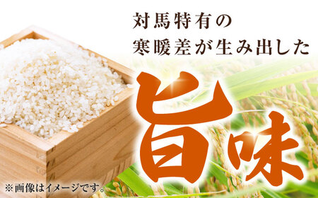 【全12回定期便】対馬産 なつほのか 5kg [WCQ003] 白米 米 お米 ご飯 ごはん 5kg 5キロ 贈答用 定期便 