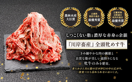 【最短7日以内発送】 神戸ビーフ 神戸牛 牝 切り落とし 白小間 1000g 1kg 川岸畜産 すき焼き 牛丼  冷凍 大容量 肉 牛肉 すぐ届く お肉 和牛 食材 グルメ ブランド牛 日本産 国産 夕飯 晩御飯 夜ごはん
