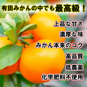 【2026年先行予約】有田の高級みかん【田村みかん】秀品！たっぷり 5kg ギフトにもオススメ (S～Lサイズおまかせ)_BD7004n 2026年11月発送