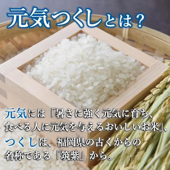 令和7年米 福岡県産 米 金のめし丸元気つくし 5kg | 精米 お米 こめ 白米 ライス ブランド米