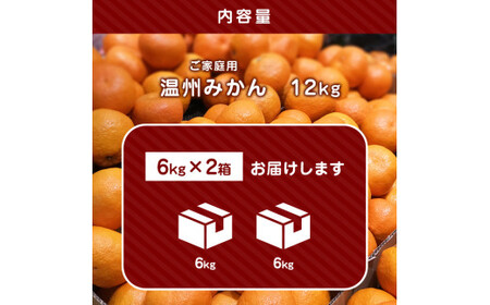 【 6キロ × 2箱 】 たまな産 温州みかん 12kg | 果物 くだもの フルーツ 柑橘類 柑橘 みかん ミカン 蜜柑 熊本 玉名