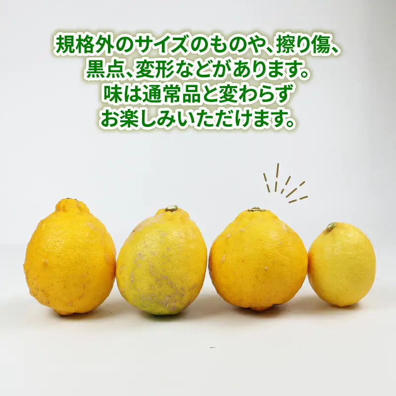 訳あり 璃の香 ( レモン ) 5kg つばさ農園 ﾚﾓﾝB010-048014