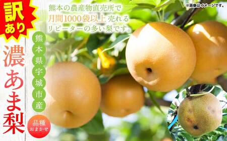 先行予約 訳あり 梨 なし 濃あま梨 約4kg 品種おまかせ 2026年8月中旬から9月下旬発送予定