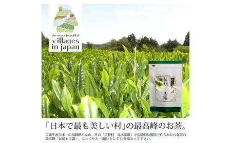 【八女茶】奥八女星野村 伝統本玉露 50g×2袋