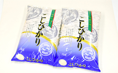 【数量限定】令和5年産 新庄産米 コシヒカリ 精米 10kg（5kg×2袋） お米 コメ F3S-2004