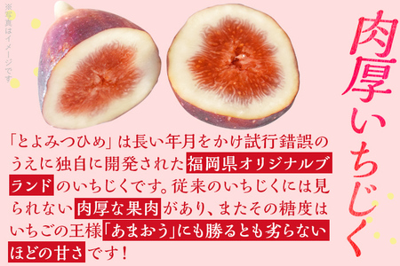 【ふるなび限定】博多とよみつひめ 1,000g（４パック）【2026年8月～10月に発送予定】 CD23f FN-Limited-PR